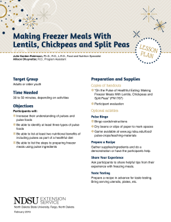 Making Freezer Meals With Lentils, Chickpeas