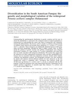 Diversification in the South American Pampas: the genetic and