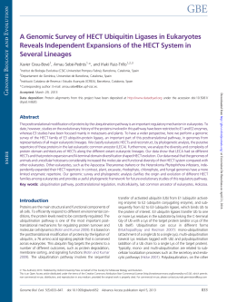 A Genomic Survey of HECT Ubiquitin Ligases in Eukaryotes