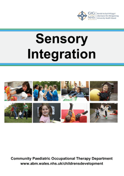 Sensory Integration 15 01 2015