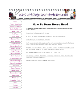 How To Draw Horse Head