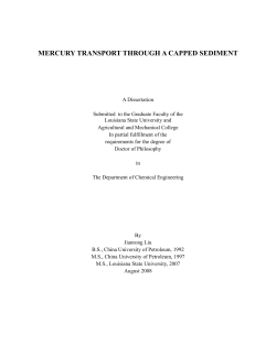 mercury transport through a capped sediment