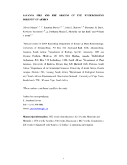 SAVANNA FIRE AND THE ORIGINS OF THE &ldquo;UNDERGROUND