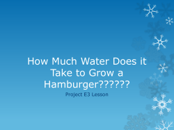 How Much Water Does it Take to Grow a Hamburger
