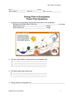 Energy Flow in Ecosystems Power Point Questions