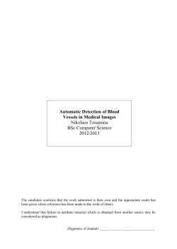 Automatic Detection of Blood Vessels in Medical Images Nikolaos