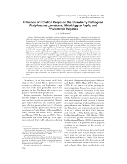 V31 #Sup 1 - Semantic Scholar