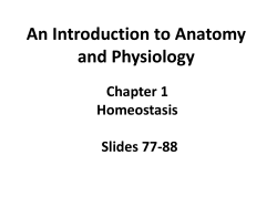 Homeostasis