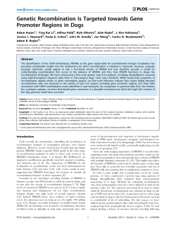 Genetic Recombination Is Targeted towards Gene Promoter