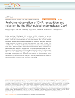 Real-time observation of DNA recognition and rejection by the RNA