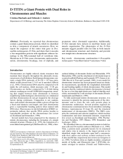 D-TITIN - The Journal of Cell Biology