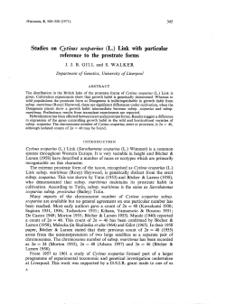 as a PDF