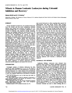 Mitosis in Human Leukemic Leukocytes during