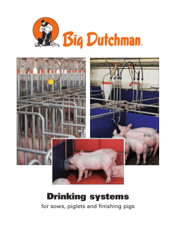 Drinking systems