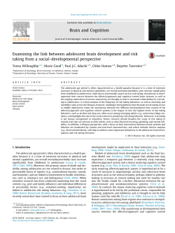 Examining the link between adolescent brain development and risk