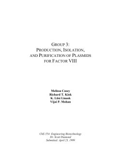 Production, Isolation, and Purification of Plasmids for Factor VIII
