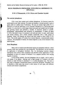 ROCK PHOSPHATE FERTILIZERS WITH SPECIAL