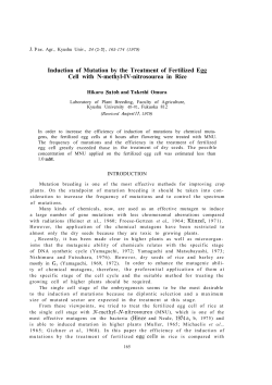 Induction of Mutation by the Treatment of Fertilized Egg Cell with N