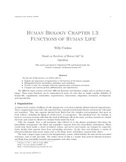 Human Biology Chapter 1.3: Functions of Human Life