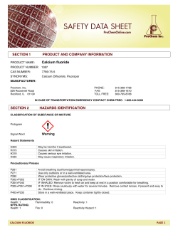 SECTION 1 PRODUCT AND COMPANY INFORMATION Calcium