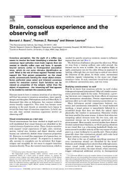 Brain, conscious experience and the observing self