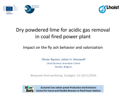 Dry powdered lime for acidic gas removal in coal fired