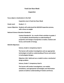 Food Lion Race Week Inspection