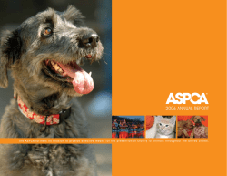 2006 annual report