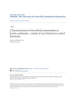 Characterization of microbial communities in karstic