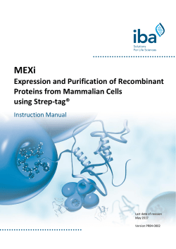 Expression and Purification of Recombinant Proteins from