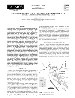 LIFE BENEATH THE SURFACES OF ACTIVE JURASSIC DUNES