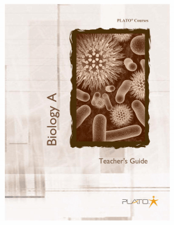 PLATO Courses
