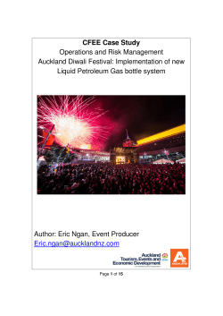 Auckland Diwali Festival by Eric Ngan