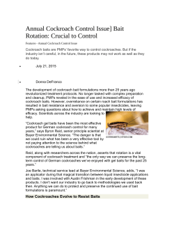 Cockroaches Develop Resistance to Popular