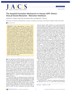 as a PDF
