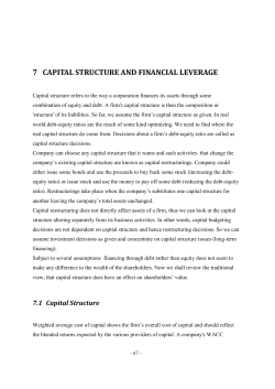 capital structure and financial leverage - E-SGH