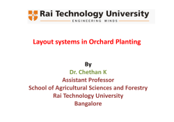 Layout systems in Orchard Planting