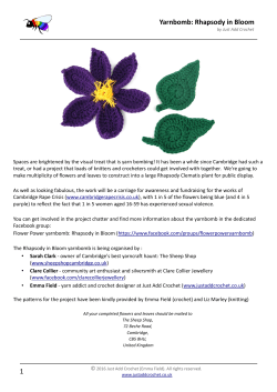 Yarnbomb: Rhapsody in Bloom 1