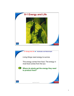 8-1 Energy and Life