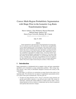 Convex Multi-Region Probabilistic Segmentation with