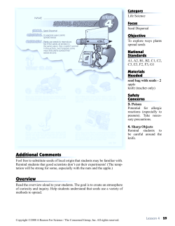 Additional Comments Overview
