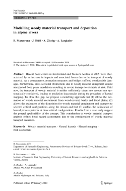 Modelling woody material transport and deposition in alpine rivers