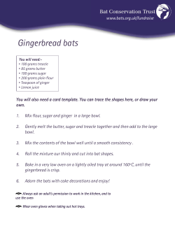 Gingerbread bats