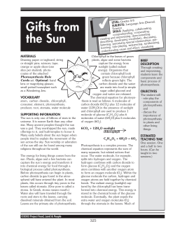 Gifts from the Sun