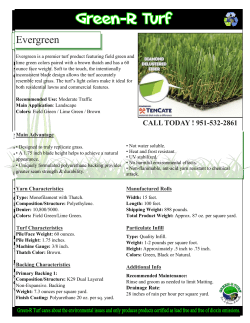 Evergreen Spec Sheet.