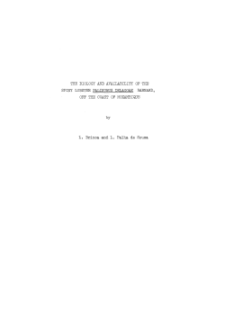 The biology and availability of the spiny lobster Palinurus delagoae
