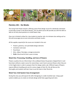 Floristry 101 &ndash; Six Weeks