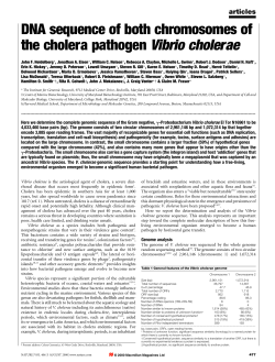 DNA sequence of both chromosomes of the cholera