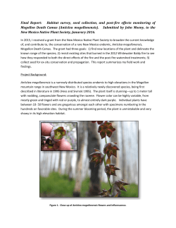 moeny-anticlea_mogollonensis_grant_report_updated