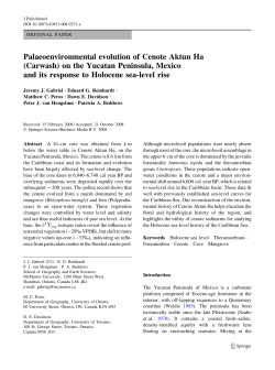 Palaeoenvironmental evolution of Cenote Aktun Ha (Carwash) on